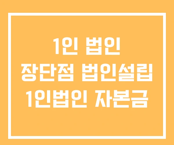 1인 법인 장단점 법인설립 1인법인 자본금