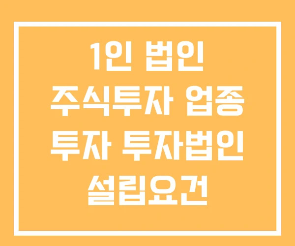 1인 법인 주식투자 업종 투자 투자법인 설립요건
