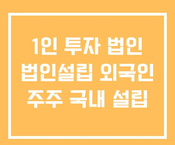 1인 투자 법인 법인설립 외국인 주주 국내 설립