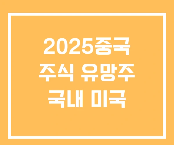 2025중국 주식 유망주 국내 미국