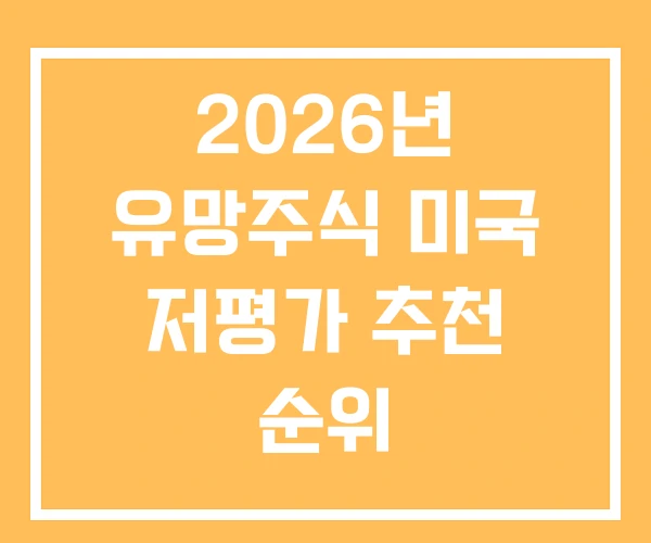 2026년 유망주식 미국 저평가 추천 순위