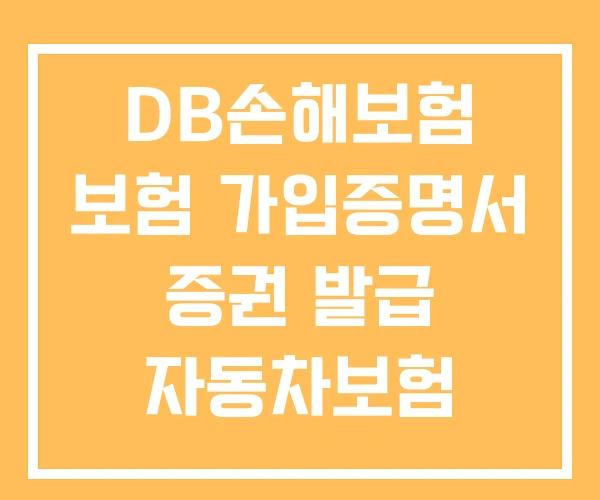 DB손해보험 보험 가입증명서 증권 발급 자동차보험