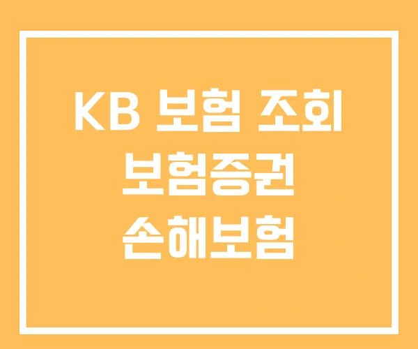 KB 보험 조회 보험증권 손해보험