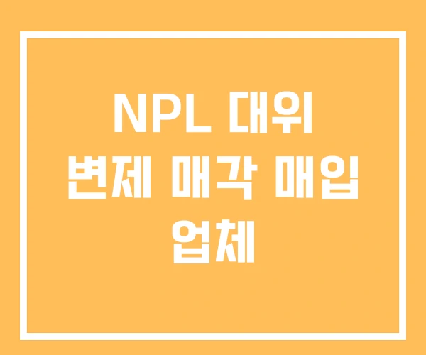 NPL 대위 변제 매각 매입 업체 NPL 대위 변제 매각 매입 업체