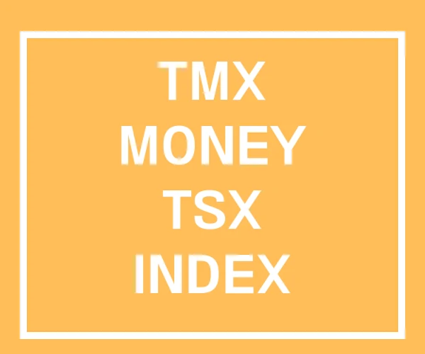 TMX MONEY TSX INDEX