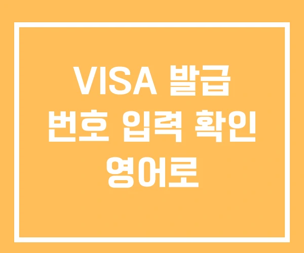 VISA 발급 번호 입력 확인 영어로