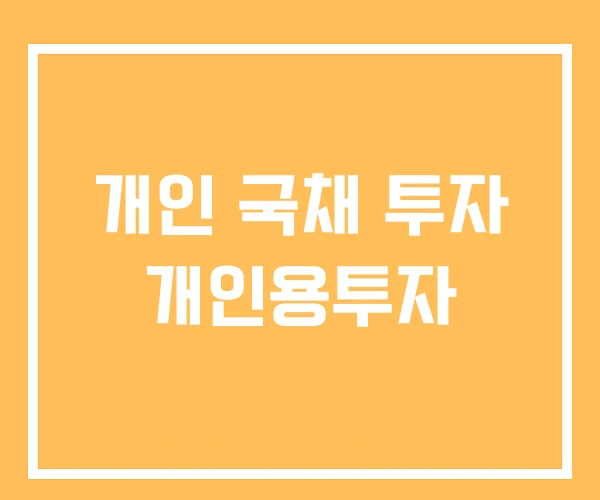 개인 국채 투자 개인용투자