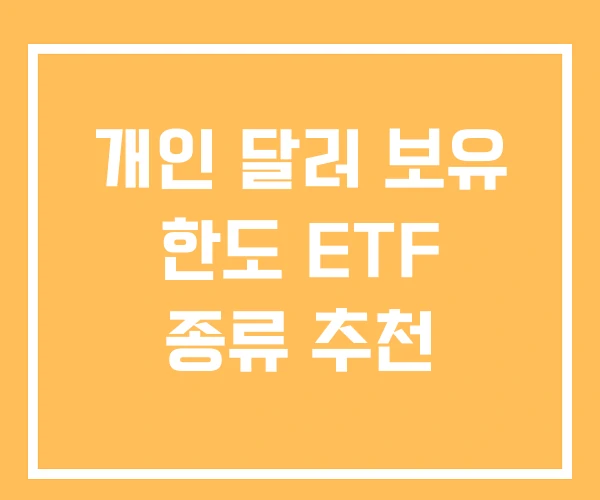 개인 달러 보유 한도 ETF 종류 추천