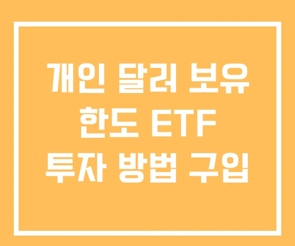 개인 달러 보유 한도 ETF 투자 방법 구입
