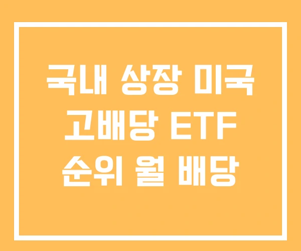 국내 상장 미국 고배당 ETF 순위 월 배당