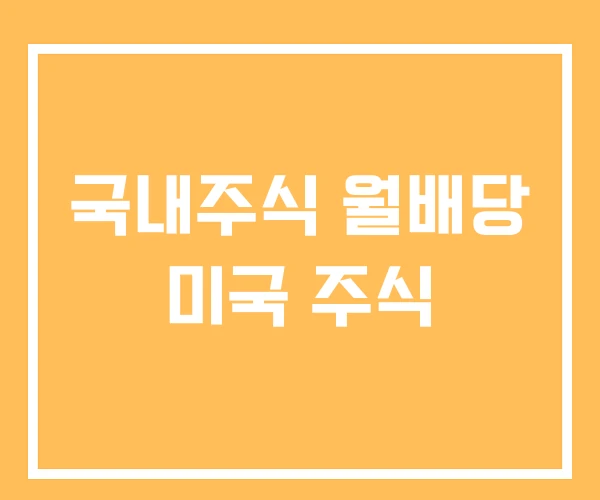 국내주식 월배당 미국 주식