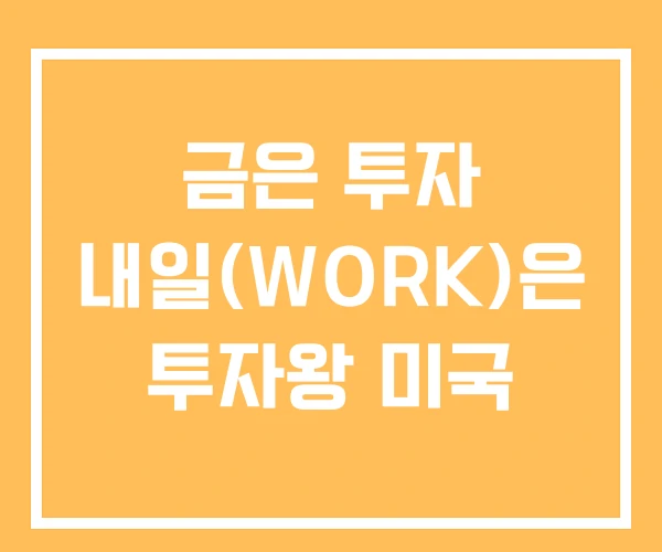 금은 투자 내일(WORK)은 투자왕 미국 금은 투자 내일(WORK)은 투자왕 미국