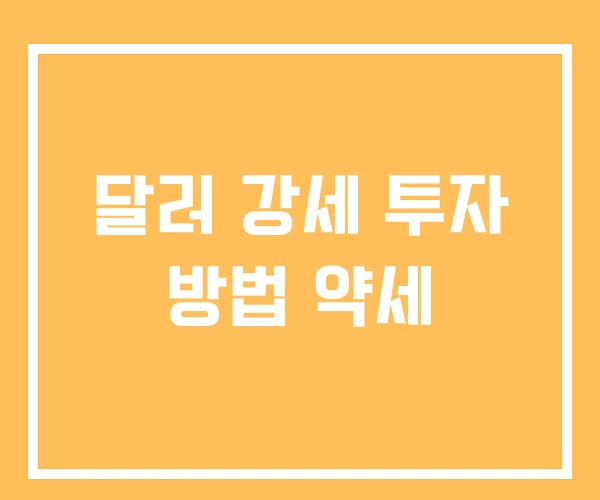 달러 강세 투자 방법 약세