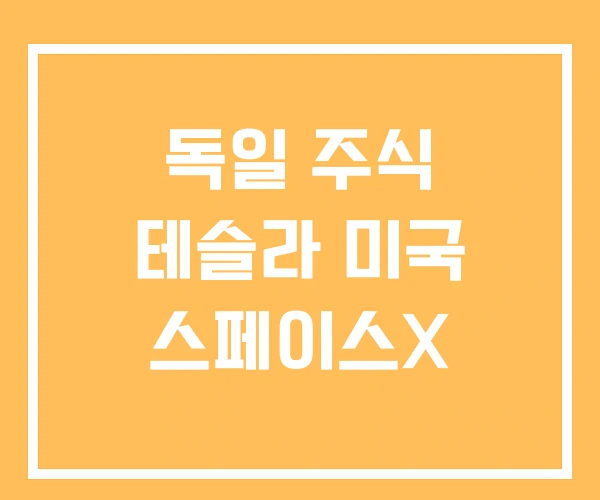 독일 주식 테슬라 미국 스페이스X 독일 주식 테슬라 미국 스페이스X