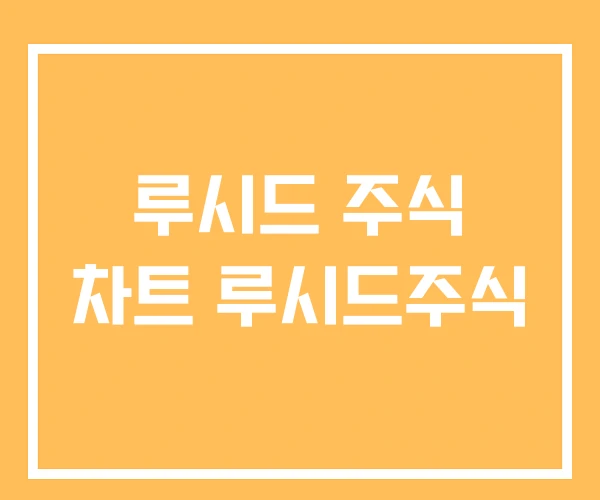 루시드 주식 차트 루시드주식