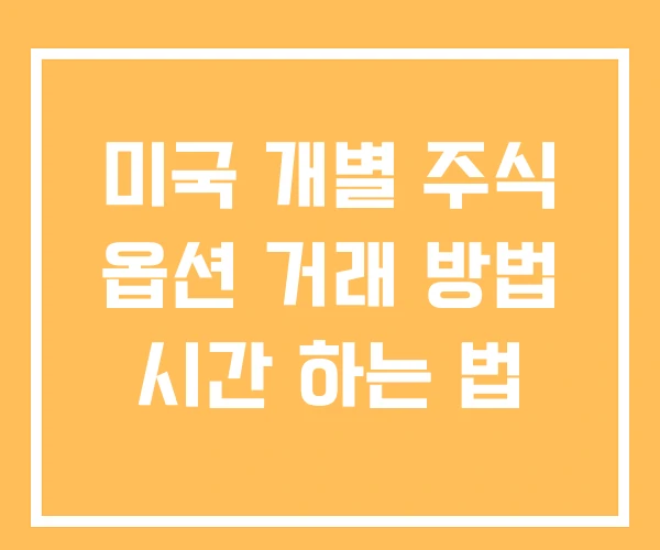 미국 개별 주식 옵션 거래 방법 시간 하는 법 미국 개별 주식 옵션 거래 방법 시간 하는 법