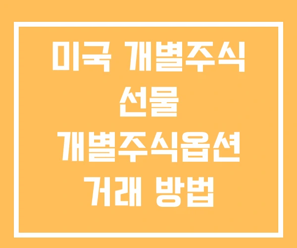 미국 개별주식 선물 개별주식옵션 거래 방법 거래시간 미국 개별주식 선물 개별주식옵션 거래 방법 거래시간