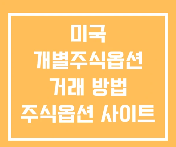 미국 개별주식옵션 거래 방법 주식옵션 사이트 미국주식 옵션