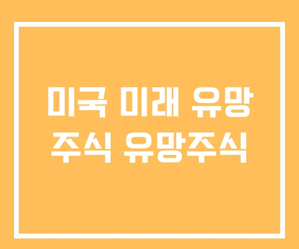 미국 미래 유망 주식 유망주식 미국 미래 유망 주식 유망주식