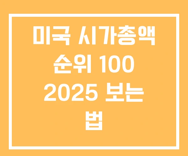 미국 시가총액 순위 100 2025 보는 법 미국 시가총액 순위 100 2025 보는 법