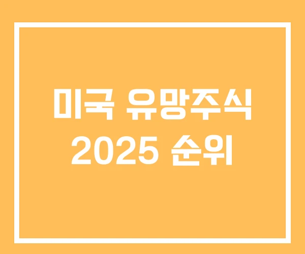 미국 유망주식 2025 순위
