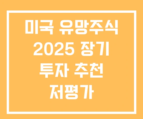 미국 유망주식 2025 장기 투자 추천 저평가 미국 유망주식 2025 장기 투자 추천 저평가