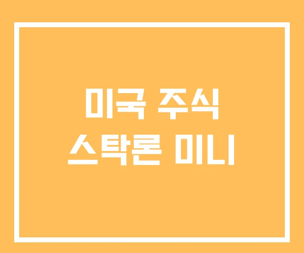 미국 주식 스탁론 미니