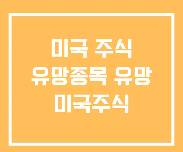 미국 주식 유망종목 유망 미국주식 미국 주식 유망종목 유망 미국주식