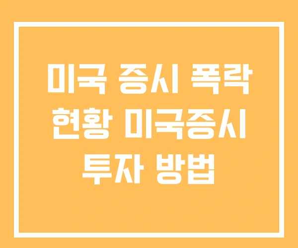 미국 증시 폭락 현황 미국증시 투자 방법