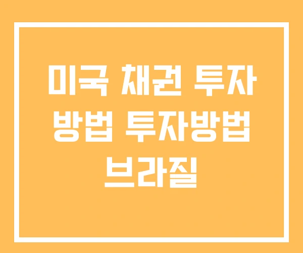 미국 채권 투자 방법 투자방법 브라질