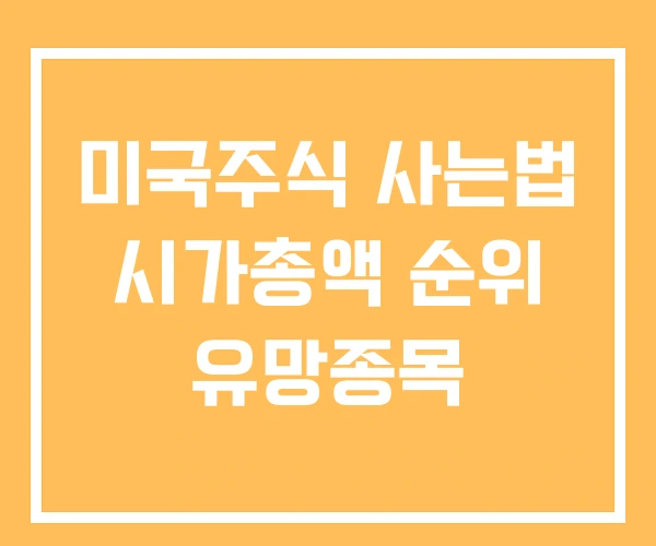 미국주식 사는법 시가총액 순위 유망종목