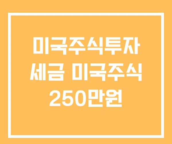 미국주식투자 세금 미국주식 250만원