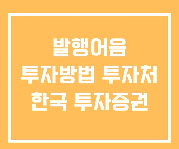 발행어음 투자방법 투자처 한국 투자증권