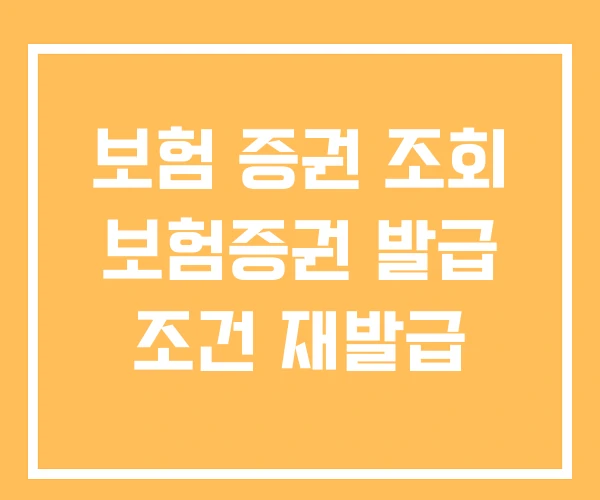 보험 증권 조회 보험증권 발급 조건 재발급
