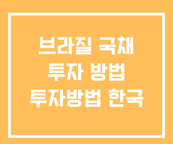 브라질 국채 투자 방법 투자방법 한국