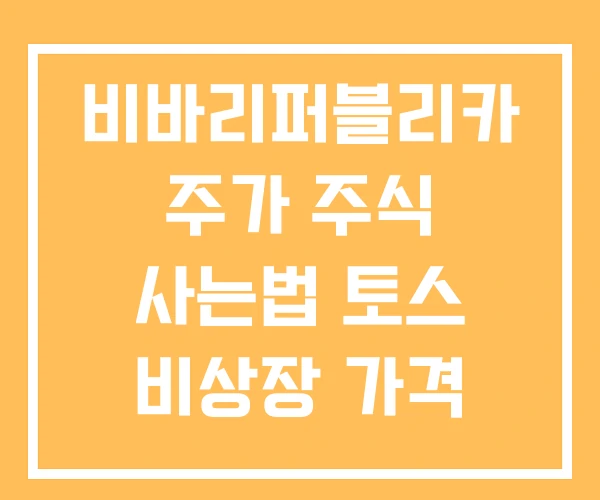 비바리퍼블리카 주가 주식 사는법 토스 비상장 가격